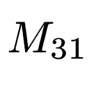 $ M_{31}$